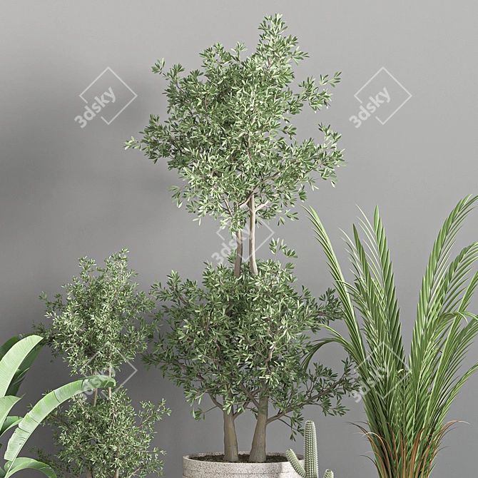 Indoor Greenery Collection 3D model image 3