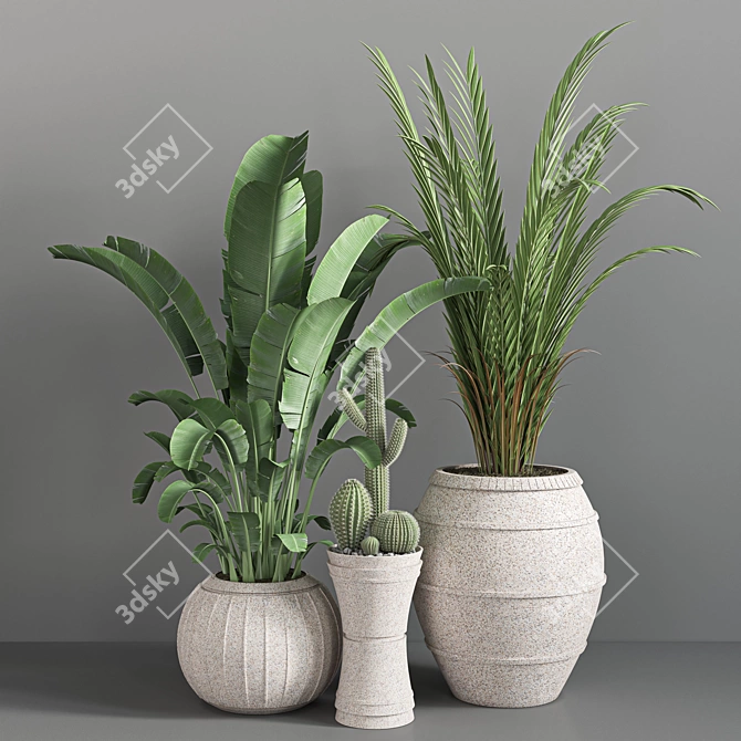 Indoor Greenery Collection 3D model image 4