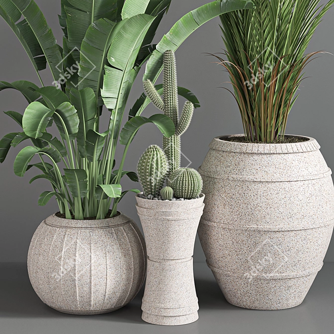 Indoor Greenery Collection 3D model image 5