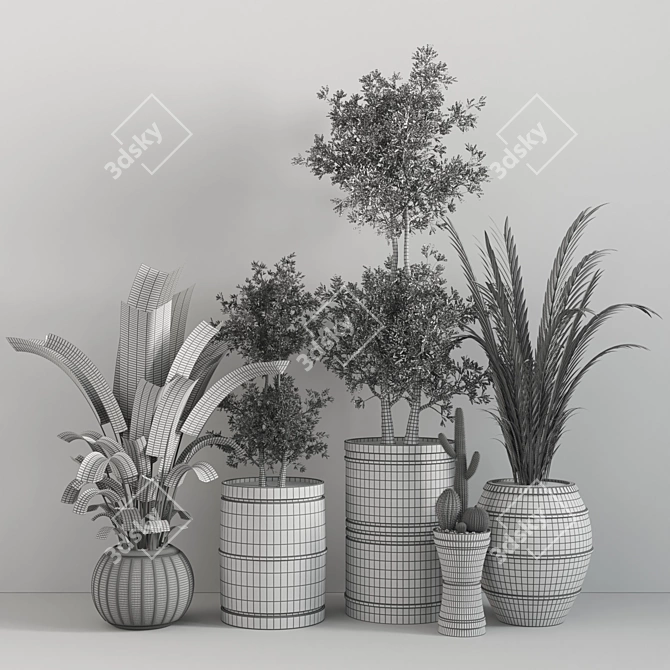 Indoor Greenery Collection 3D model image 6