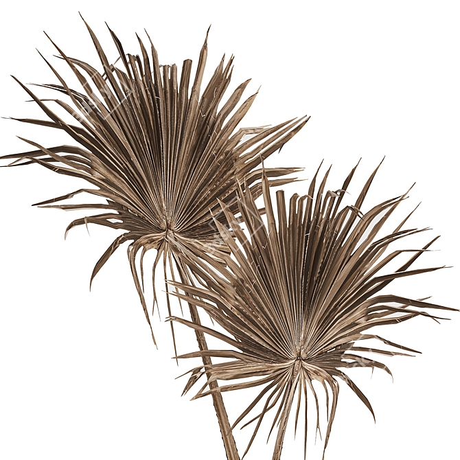 Palm Leaf Bouquet 3D model image 2