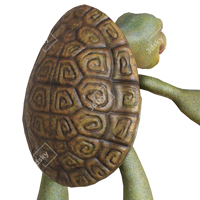 Cartoon Turtle 2013 3D Model 3D model image 5