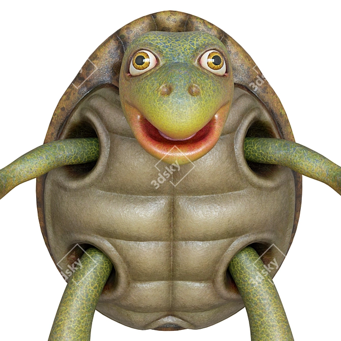 Cartoon Turtle 2013 3D Model 3D model image 2