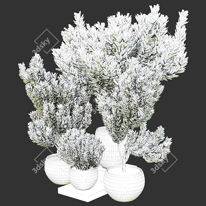 Botanical Bliss: Indoor Plant Vol. 15 3D model image 3