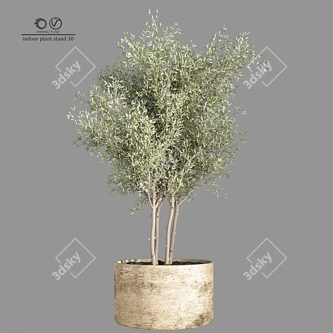 Minimalist Indoor Plant Stand 3D model image 1