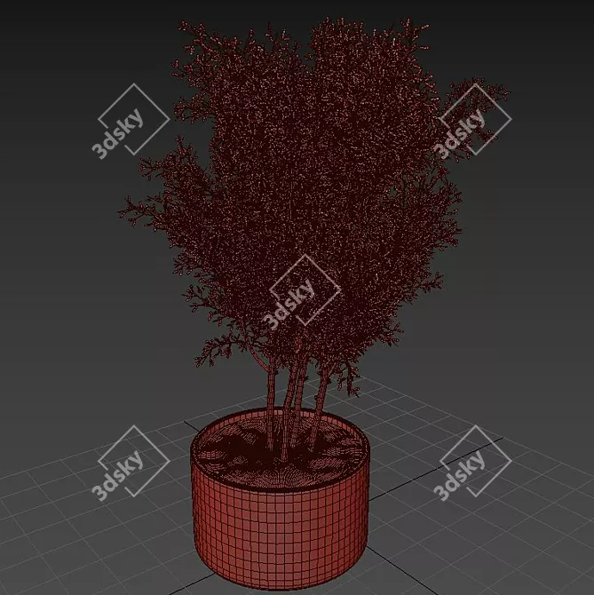 Minimalist Indoor Plant Stand 3D model image 3