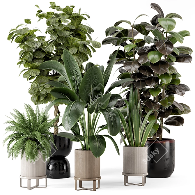 Ferm Living Bau Pot Large - Indoor Plant Set 3D model image 1