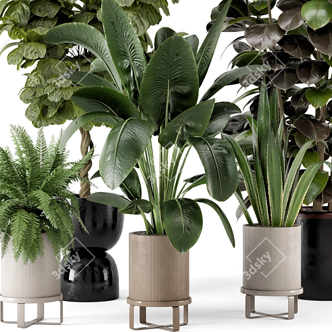 Ferm Living Bau Pot Large - Indoor Plant Set 3D model image 6