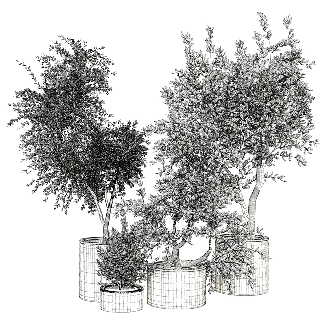 Exquisite Indoor Plant Collection 3D model image 3