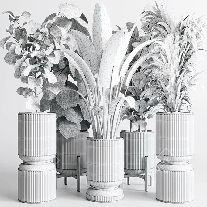 Indoor Plant Collection: Ravenala Ficus, Rubbery Monstera, Concrete Vase 3D model image 7