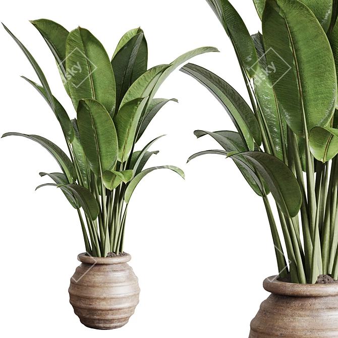 Vintage Ficus Rubber Plant in Wooden Vase 3D model image 1