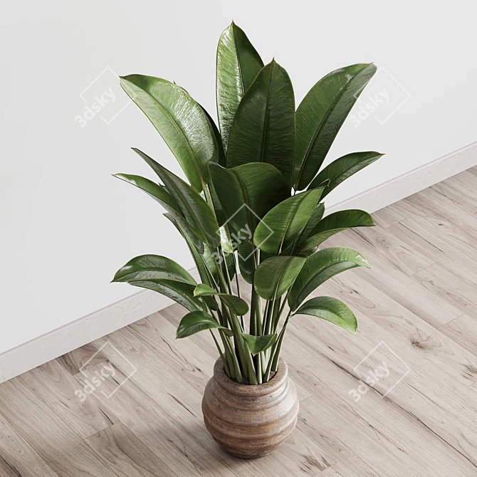 Vintage Ficus Rubber Plant in Wooden Vase 3D model image 3