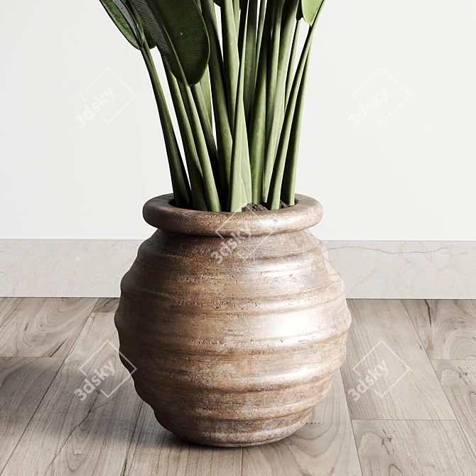 Vintage Ficus Rubber Plant in Wooden Vase 3D model image 4