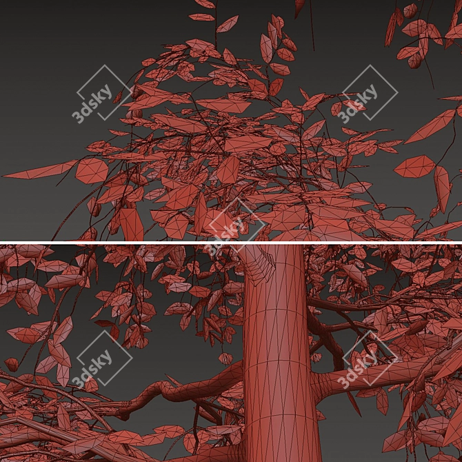 Sweet Tea Trees (2 pcs) 3D model image 6