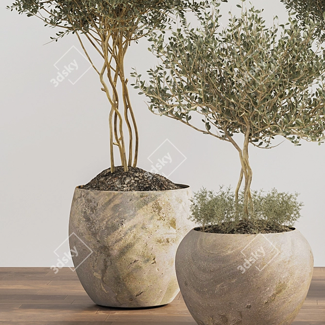 Indoor Plant 2015 | 3Ds Max + OBJ 3D model image 4