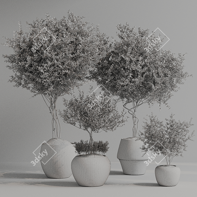 Indoor Plant 2015 | 3Ds Max + OBJ 3D model image 6