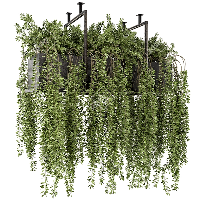 Metal Box Hanging Plants Set 303 3D model image 1
