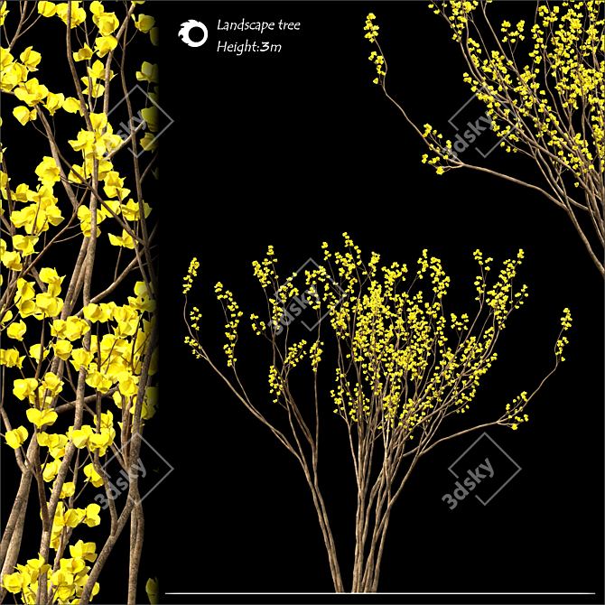 2014 Land scape tree | 3m Height 3D model image 1