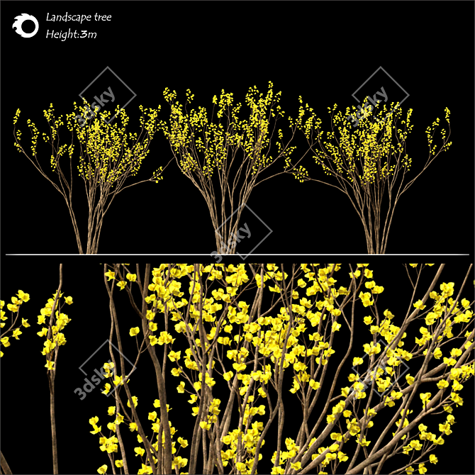 2014 Land scape tree | 3m Height 3D model image 2