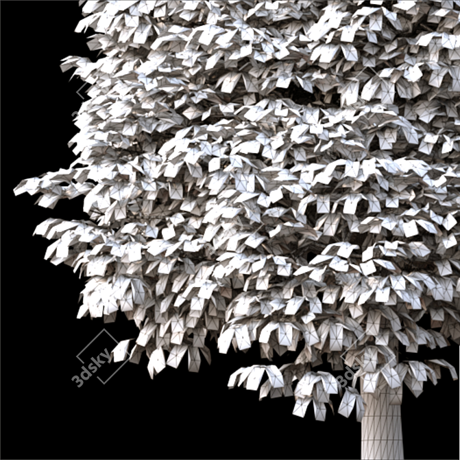  Majestic Landscaping Tree 3D model image 3