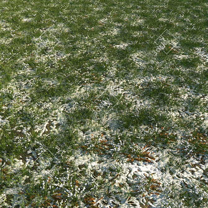 Frosty Meadow: 4 Grass Types, 2 Leaf Varieties 3D model image 1