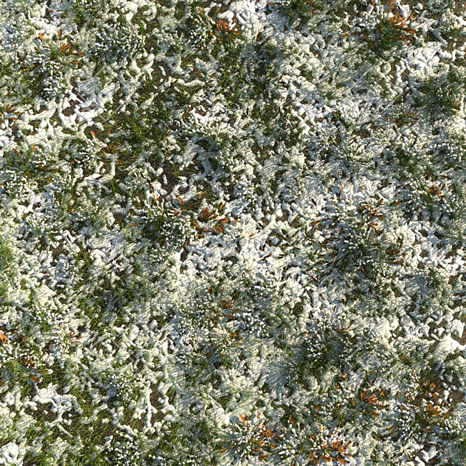 Frosty Meadow: 4 Grass Types, 2 Leaf Varieties 3D model image 2