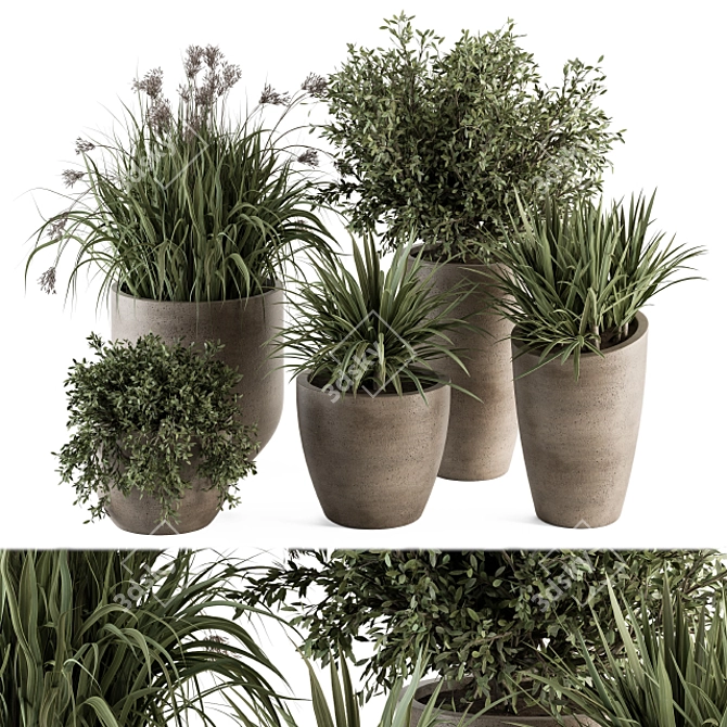 Concrete Pot Plant Set: Yuka & Bush 3D model image 1