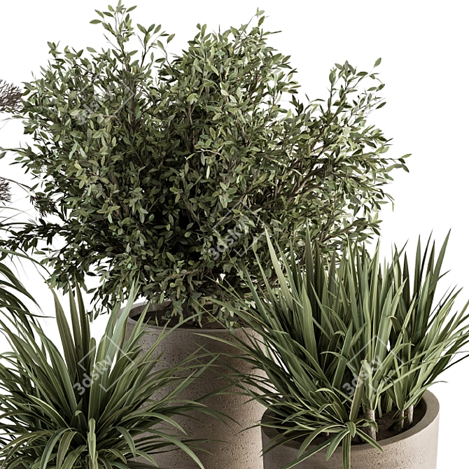 Concrete Pot Plant Set: Yuka & Bush 3D model image 2