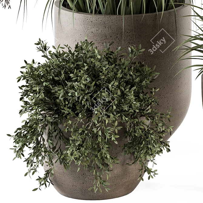 Concrete Pot Plant Set: Yuka & Bush 3D model image 3