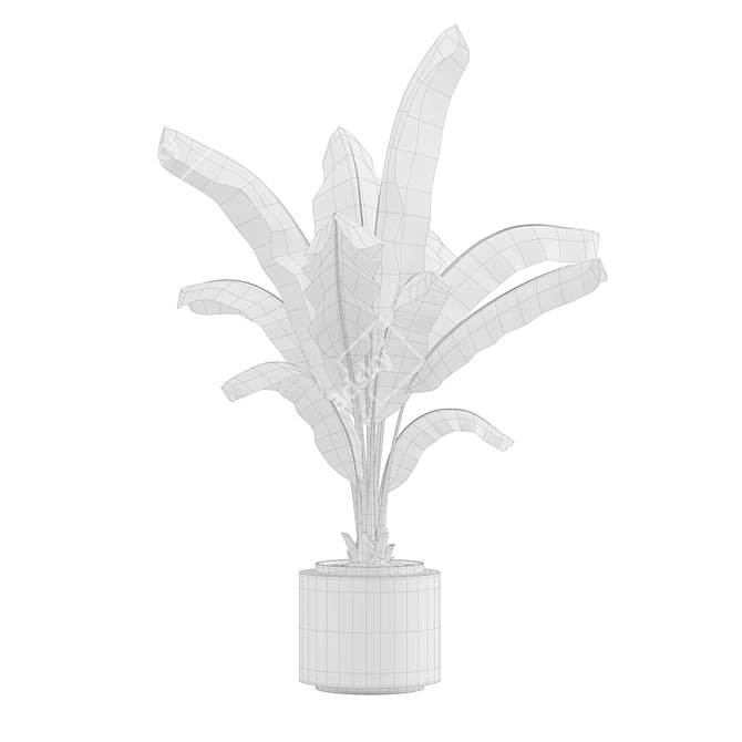 Tropical Oasis Indoor Plant Pack 3D model image 4