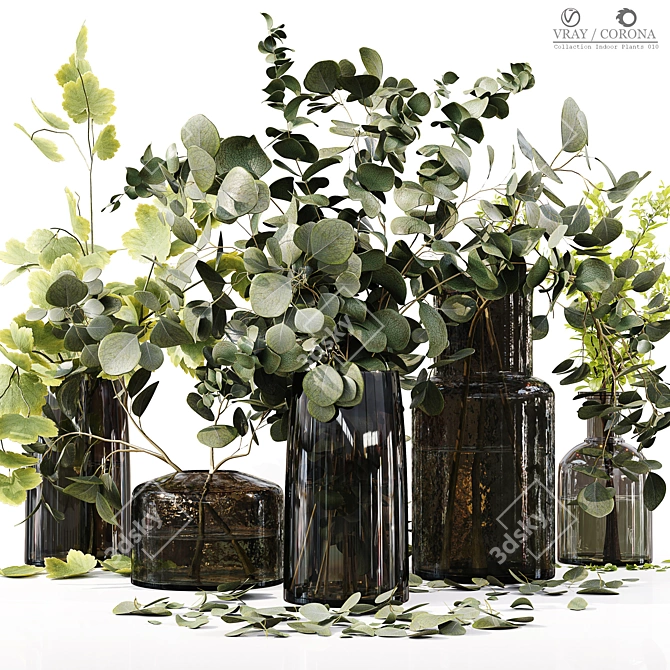 Premium Indoor Plant Collection 3D model image 1