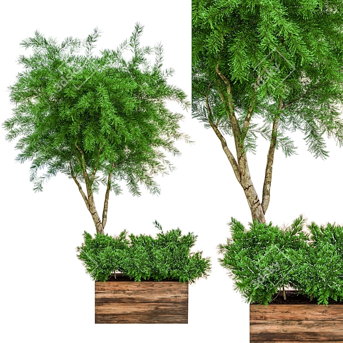 Ultimate Outdoor Plant Collection 3D model image 5