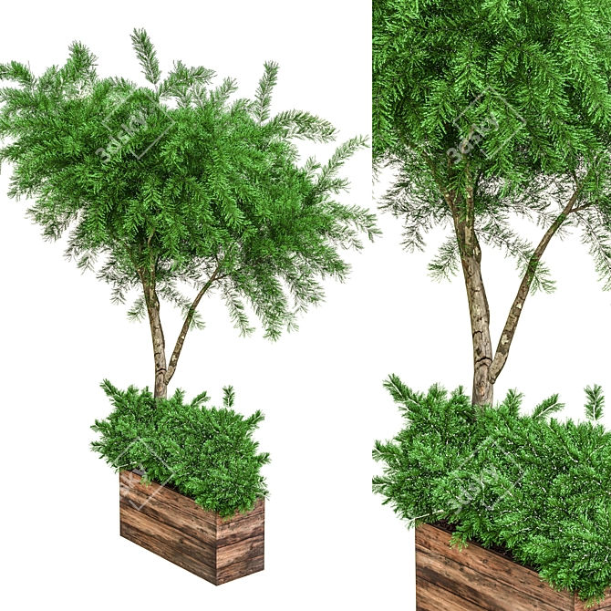 Ultimate Outdoor Plant Collection 3D model image 7