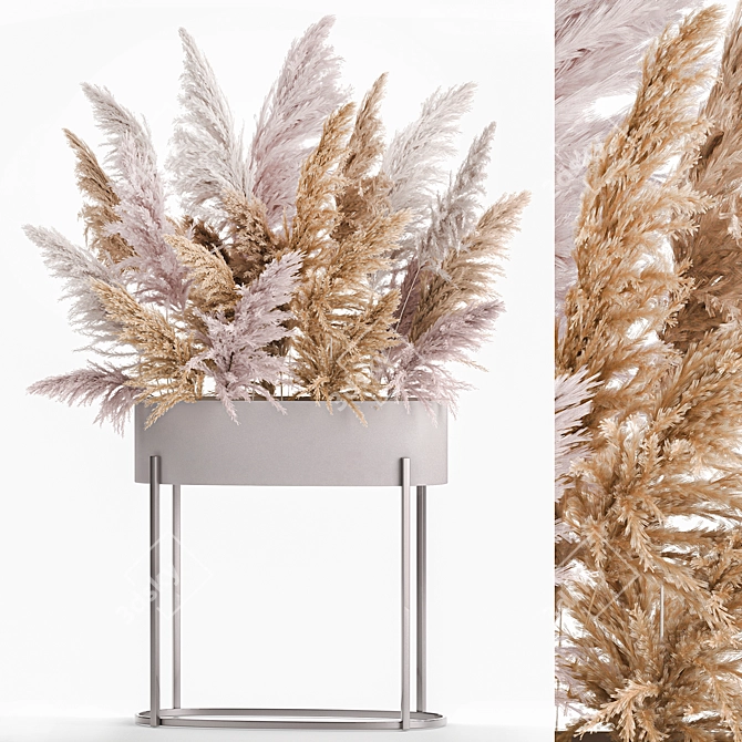 Elegant Reed Bouquet: White Phragmites & Pampas Grass 3D model image 1