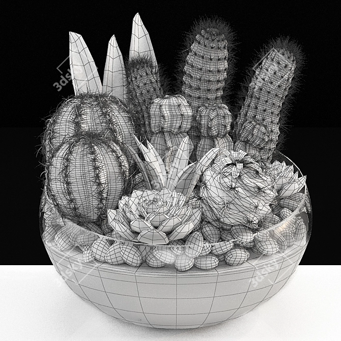 Desert Collection: Cactus Bowl 3D model image 4