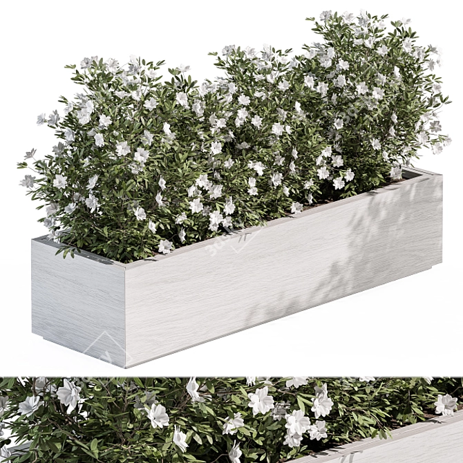 EcoGarden Plant Box Set 3D model image 1