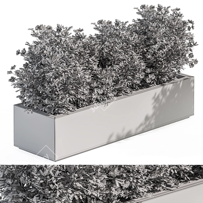 EcoGarden Plant Box Set 3D model image 4