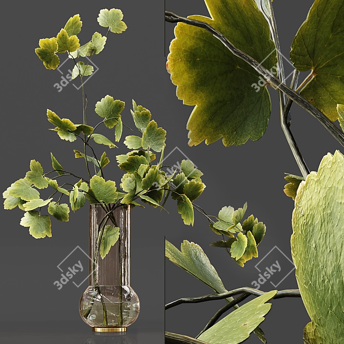 Luxury Indoor Plant Collection 3D model image 2