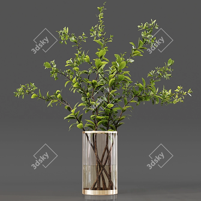 Luxury Indoor Plant Collection 3D model image 3