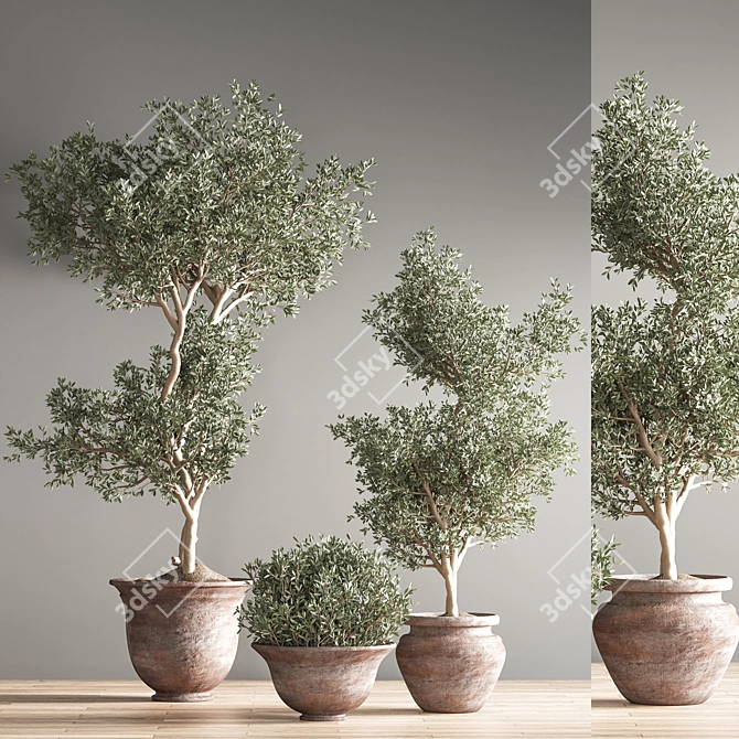 Lush Green Indoor Plant Set 3D model image 3