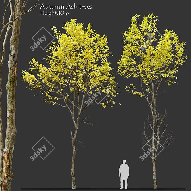 Autumn Jungle Trees Set 3D model image 1