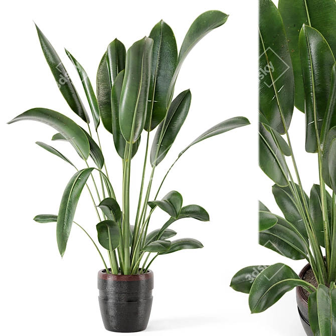 Rusty Concrete Indoor Plants Set 3D model image 1