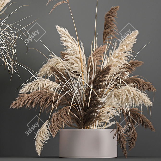 Pampas Grass Collection: Dried Reed and Stabilized Flowers 3D model image 2