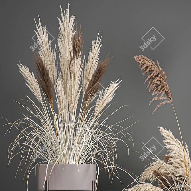 Pampas Grass Collection: Dried Reed and Stabilized Flowers 3D model image 3