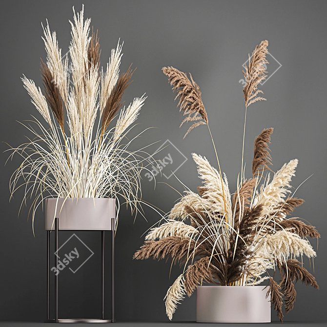 Pampas Grass Collection: Dried Reed and Stabilized Flowers 3D model image 7