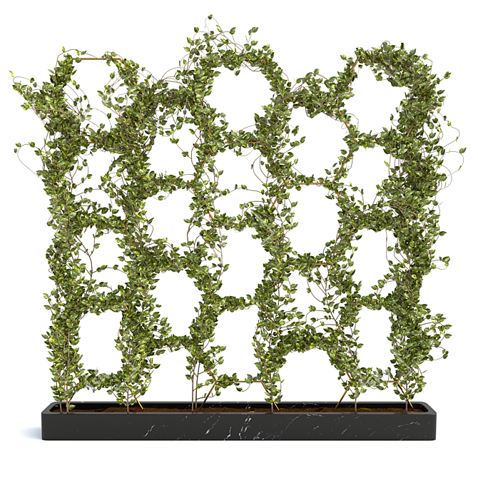 Lush Ivy Plant Set - 3D Max Modeling 3D model image 1