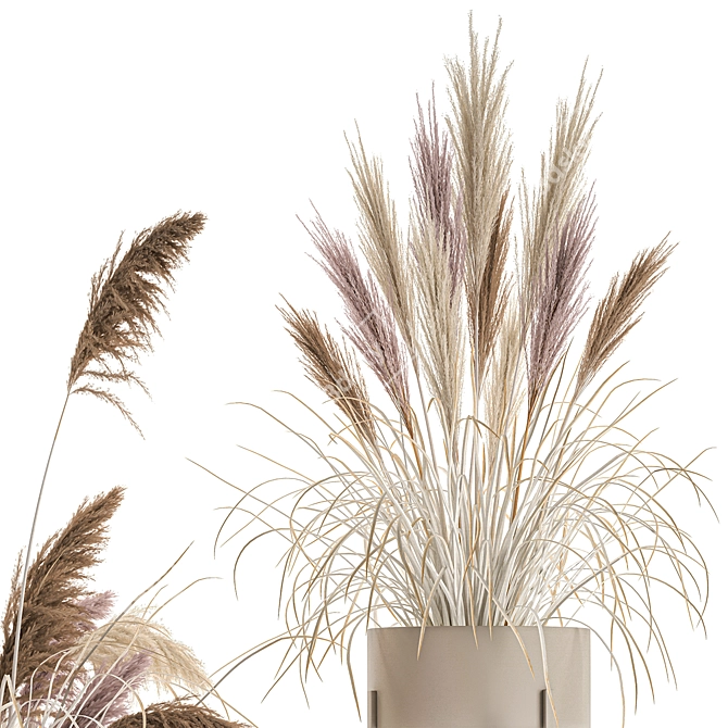 Vintage White Reed Bouquet 3D model image 4