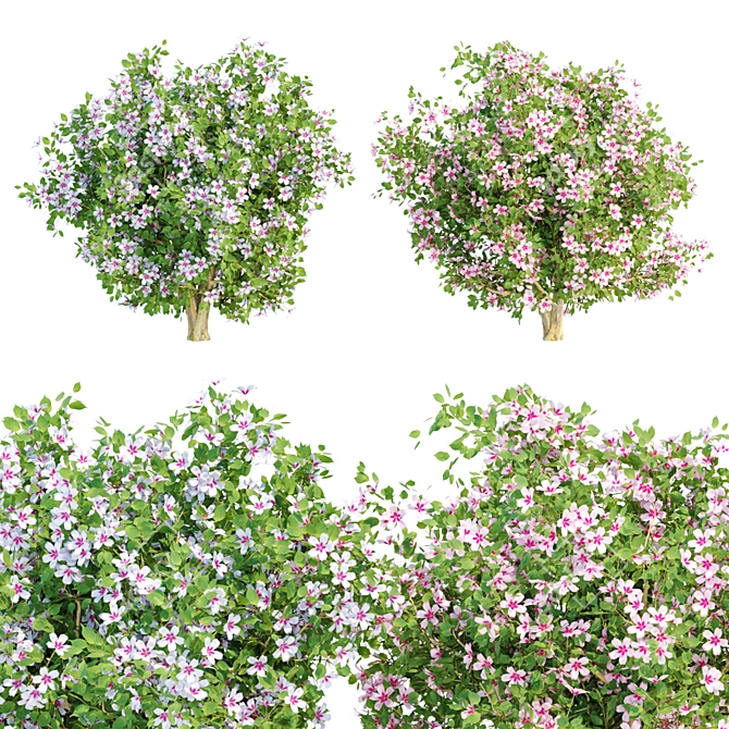 Vibrant Blooms Bushes Set 3D model image 1
