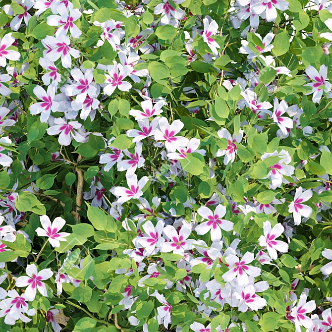Vibrant Blooms Bushes Set 3D model image 2