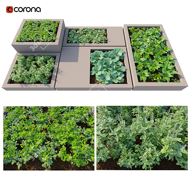 Urban Harvest: Rooftop Kitchen Garden 3D model image 1